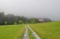 img_2018.06.09 4.jpg